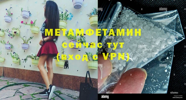 ПСИЛОЦИБИНОВЫЕ ГРИБЫ Гусь-Хрустальный