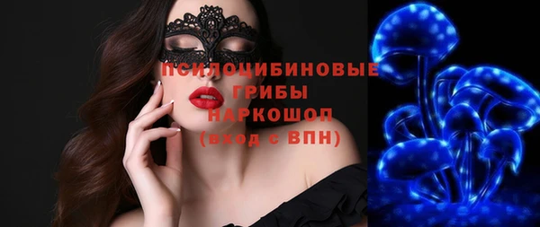 ПСИЛОЦИБИНОВЫЕ ГРИБЫ Гусь-Хрустальный