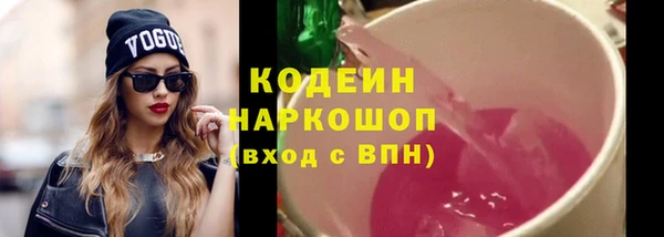 ПСИЛОЦИБИНОВЫЕ ГРИБЫ Гусь-Хрустальный