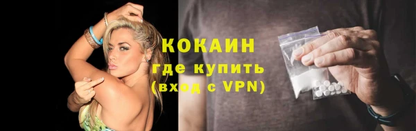 ПСИЛОЦИБИНОВЫЕ ГРИБЫ Гусь-Хрустальный