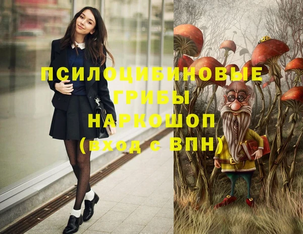 не бодяженный Гусев