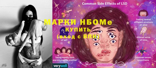 ПСИЛОЦИБИНОВЫЕ ГРИБЫ Гусь-Хрустальный