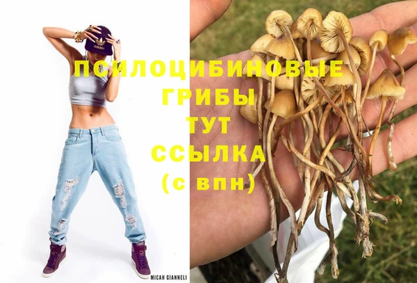 не бодяженный Гусев