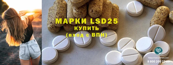 ПСИЛОЦИБИНОВЫЕ ГРИБЫ Гусь-Хрустальный