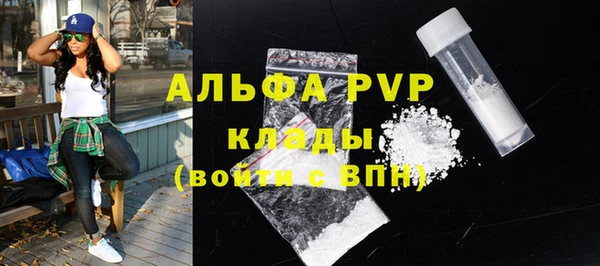 ПСИЛОЦИБИНОВЫЕ ГРИБЫ Гусь-Хрустальный