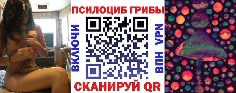 Псилоцибиновые грибы Psilocybe  Чердынь 